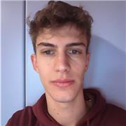 Studio all' università di informatica. Faccio ripetizioni di informatica e di matematica a ragazzi a liceali